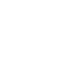 Butterfly animation